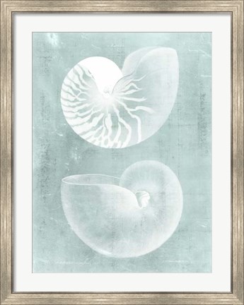 Framed Nautilus on Spa I Print