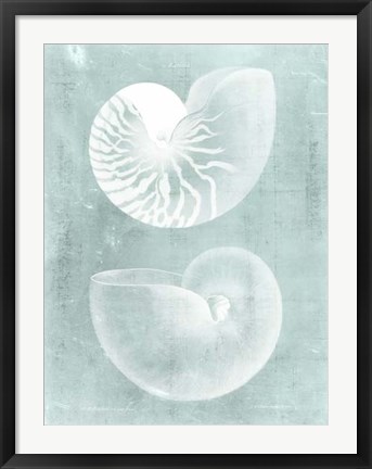 Framed Nautilus on Spa I Print