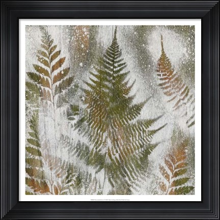 Framed Shenandoah Grove I Print