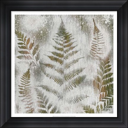 Framed Shenandoah Grove II Print