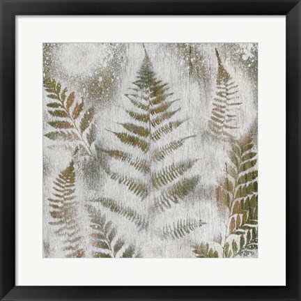 Framed Shenandoah Grove II Print