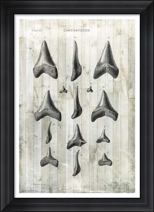 Framed Relic Hunter I Print