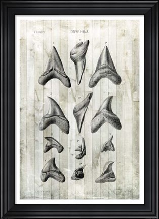 Framed Relic Hunter II Print