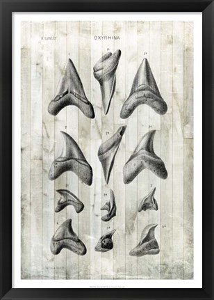 Framed Relic Hunter II Print