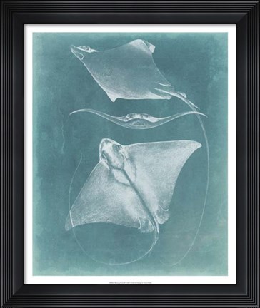 Framed Morning Swim III Print