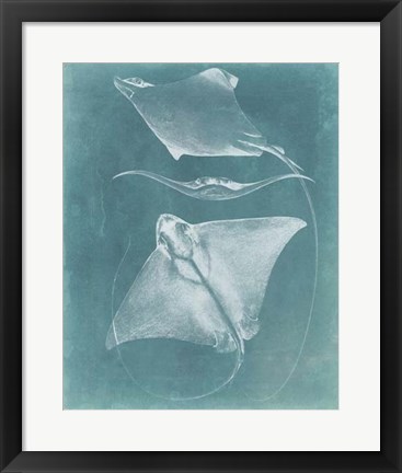 Framed Morning Swim III Print