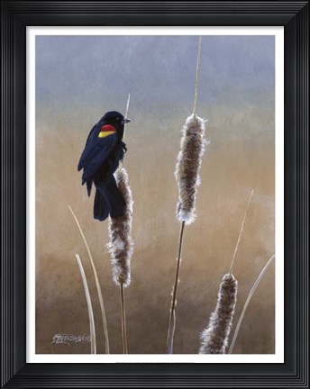 Framed Redwing Morning I Print