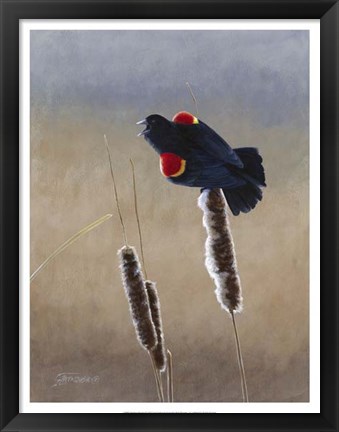 Framed Redwing Morning II Print