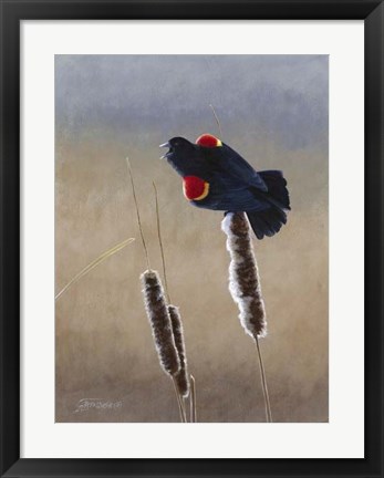 Framed Redwing Morning II Print