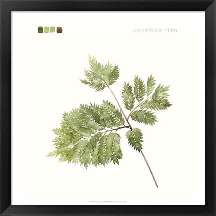 Framed Watercolor Leaf Study II Print