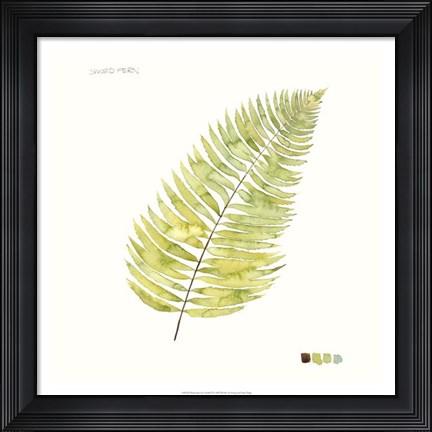 Framed Watercolor Leaf Study IV Print