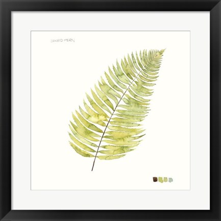 Framed Watercolor Leaf Study IV Print