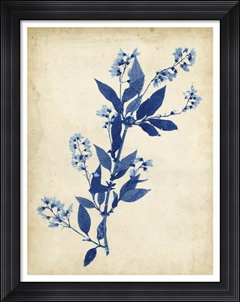 Framed Indigo Leaf Study I Print