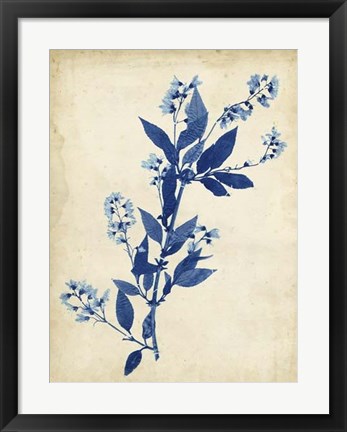 Framed Indigo Leaf Study I Print