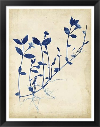 Framed Indigo Leaf Study II Print