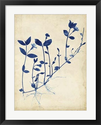 Framed Indigo Leaf Study II Print