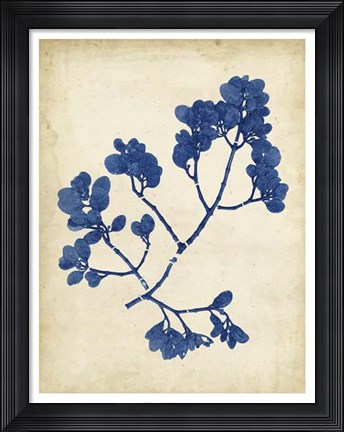 Framed Indigo Leaf Study III Print