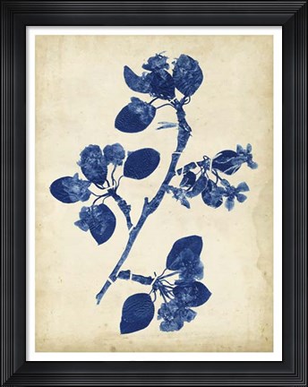 Framed Indigo Leaf Study IV Print