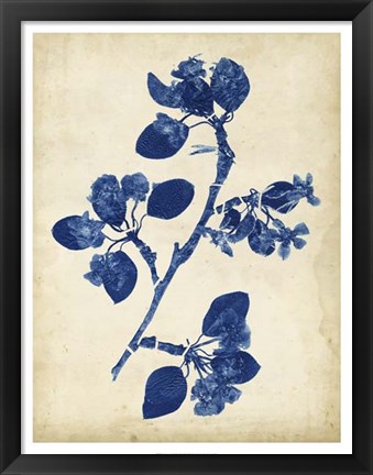 Framed Indigo Leaf Study IV Print