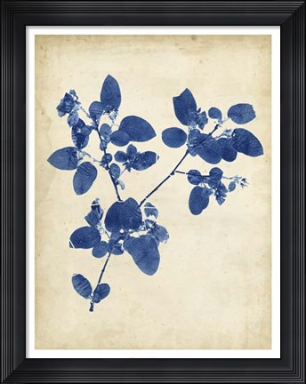 Framed Indigo Leaf Study V Print