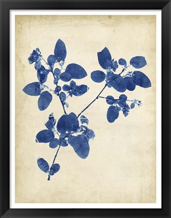 Framed Indigo Leaf Study V Print