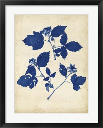 Framed Indigo Leaf Study VI Print