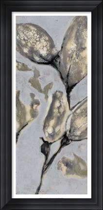 Framed Flower Bud Triptych I Print