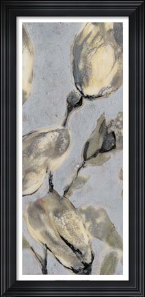 Framed Flower Bud Triptych II Print