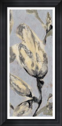 Framed Flower Bud Triptych III Print