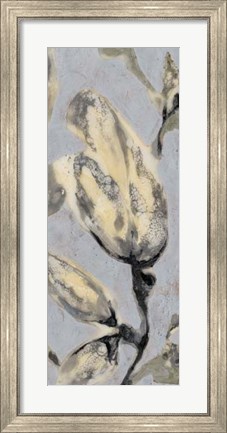Framed Flower Bud Triptych III Print