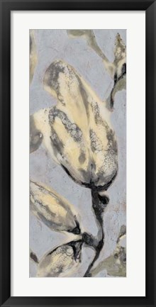 Framed Flower Bud Triptych III Print