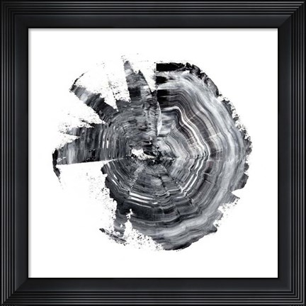 Framed Tree Ring Abstract II Print