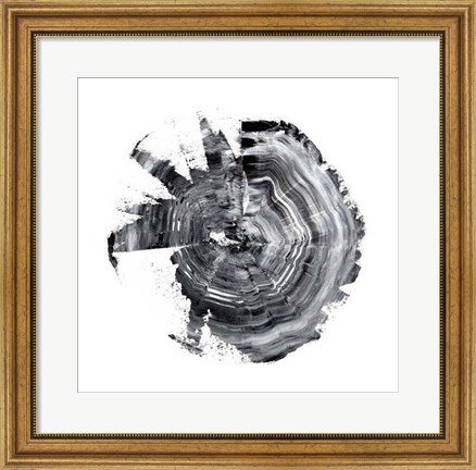 Framed Tree Ring Abstract II Print