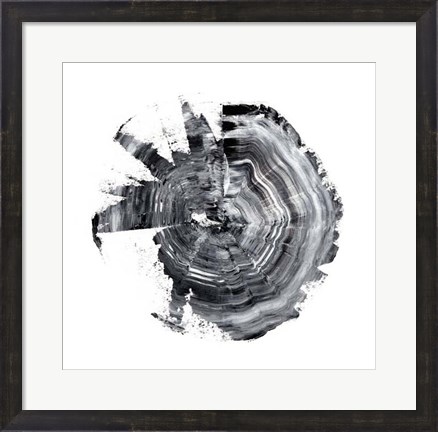 Framed Tree Ring Abstract II Print