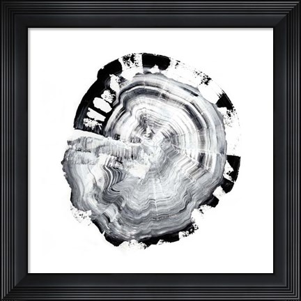 Framed Tree Ring Abstract III Print