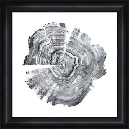 Framed Tree Ring Abstract IV Print