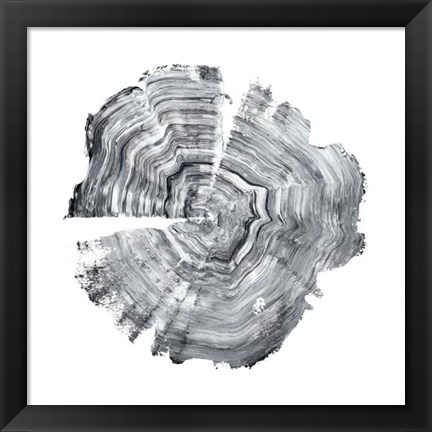 Framed Tree Ring Abstract IV Print