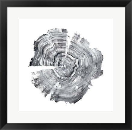 Framed Tree Ring Abstract IV Print