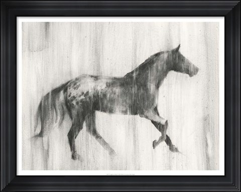 Framed Appaloosa Study I Print