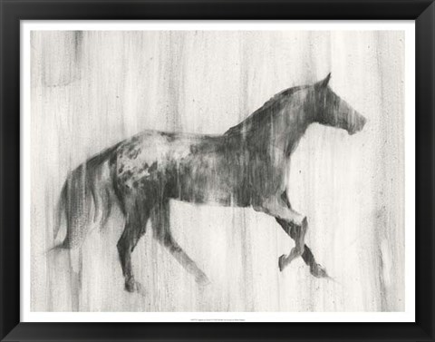 Framed Appaloosa Study I Print
