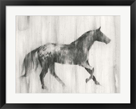 Framed Appaloosa Study I Print