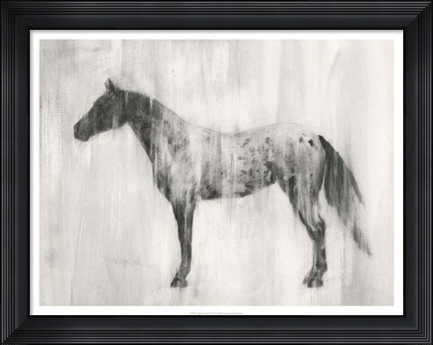 Framed Appaloosa Study II Print
