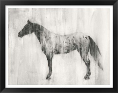 Framed Appaloosa Study II Print