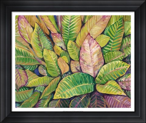 Framed Tropical Close Up I Print