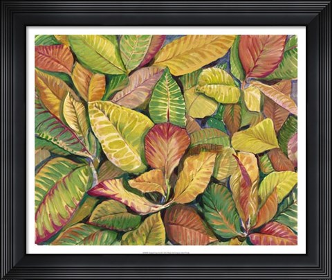 Framed Tropical Close Up II Print