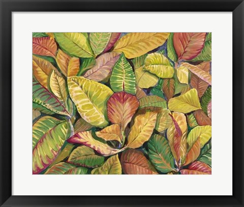 Framed Tropical Close Up II Print