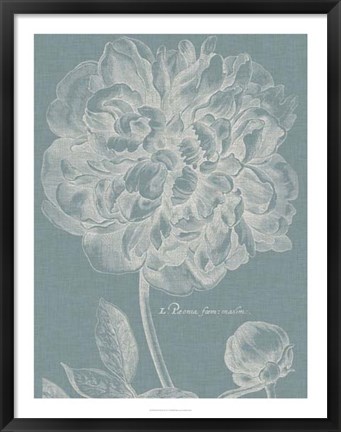 Framed Graceful Peony I Print