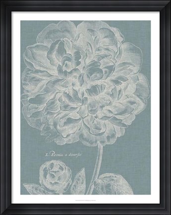 Framed Graceful Peony II Print