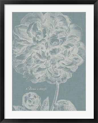 Framed Graceful Peony II Print