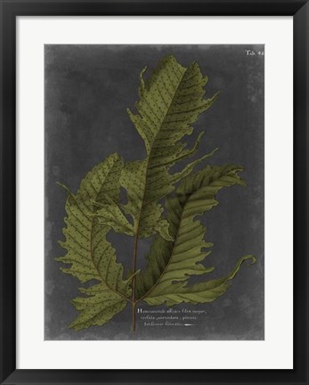 Framed Foliage Dramatique I Print